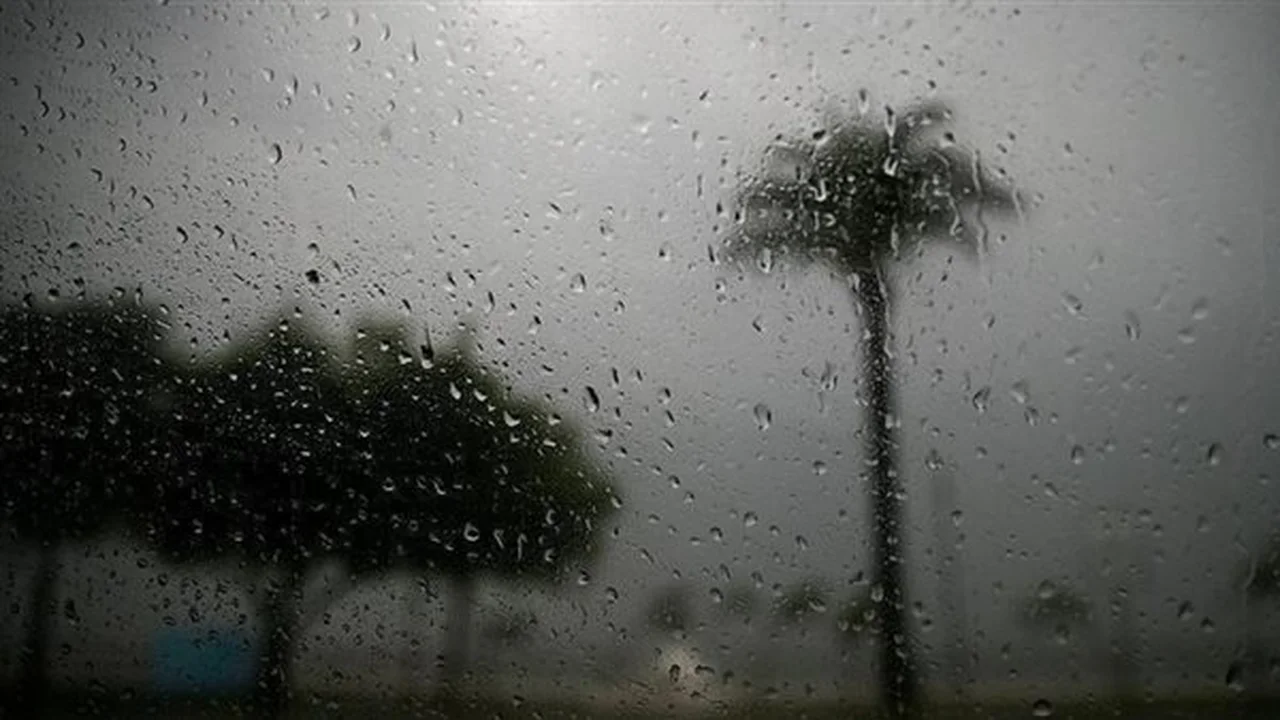 تحسن تدريجي للطقس في القاهرة الكبرى وتوقعات باستمرار السحب الممطرة بمناطق أخرى